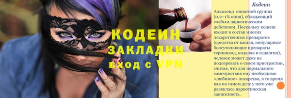 PSILOCYBIN Алзамай
