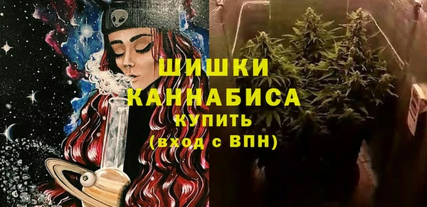 PSILOCYBIN Алзамай